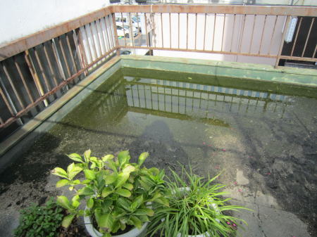 ビルの屋上　防水工事