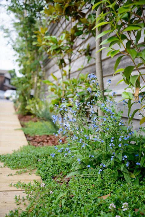 倉敷市に完成した林のカフェ。150種類以上の草木花が季節ごとに表情を変え、お客様を迎えます。