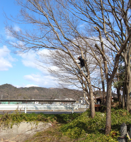 基礎工事に入る前に
