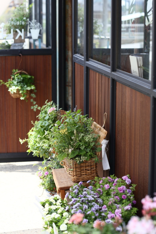 植物いっぱいのお店入口