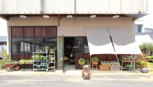 花苗屋さん atelier KLEE