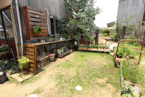 お店の横にも植物コーナーがあります