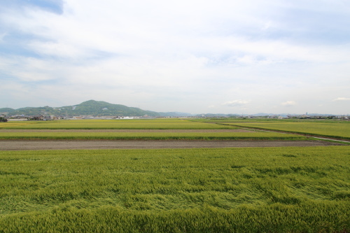 足場から見た絶景の田園風景