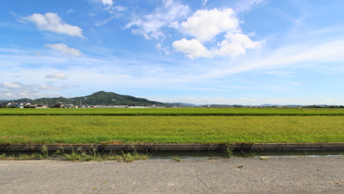 地平線のように広がる風景に癒されます