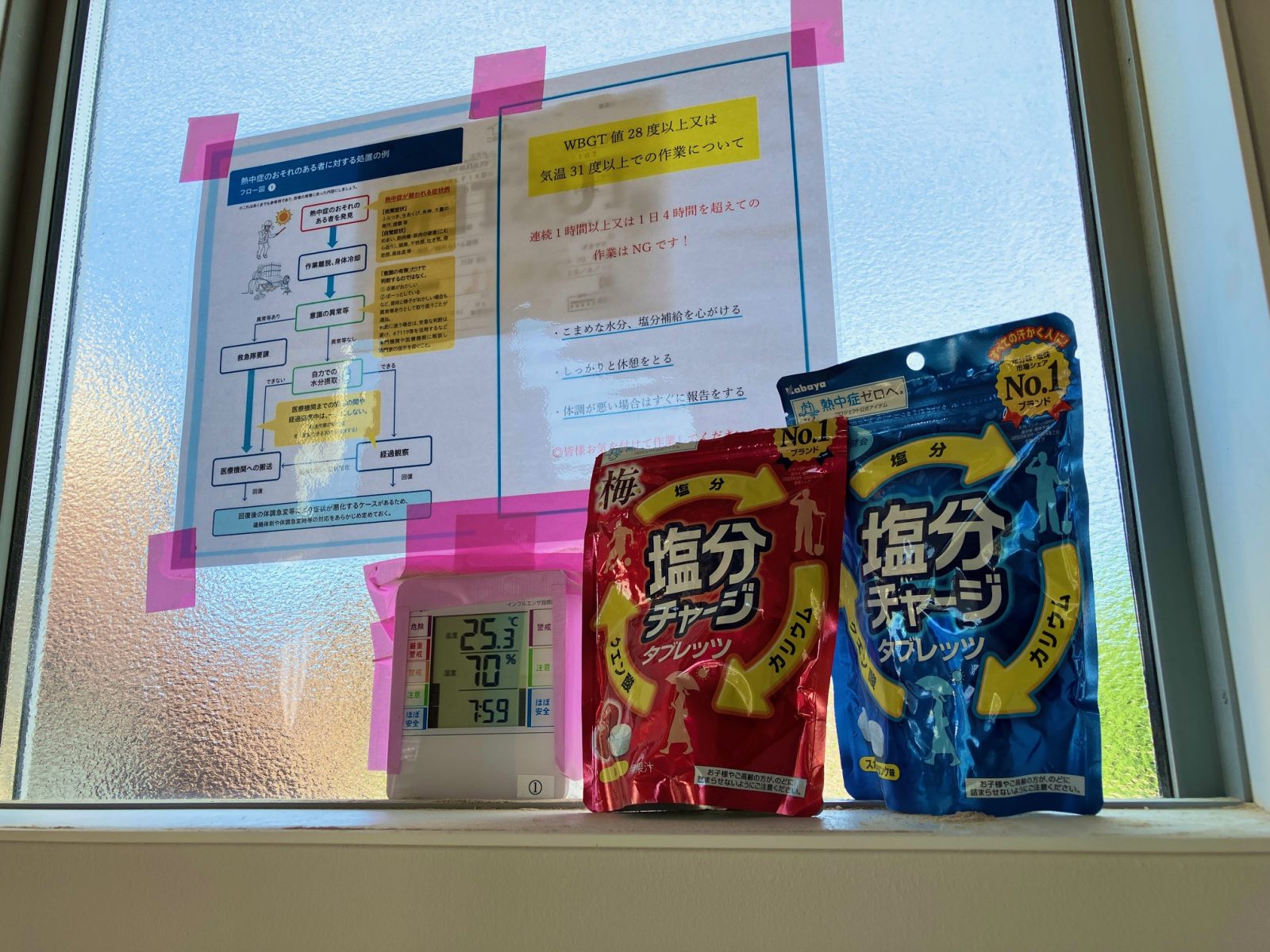 酷暑を楽しんで