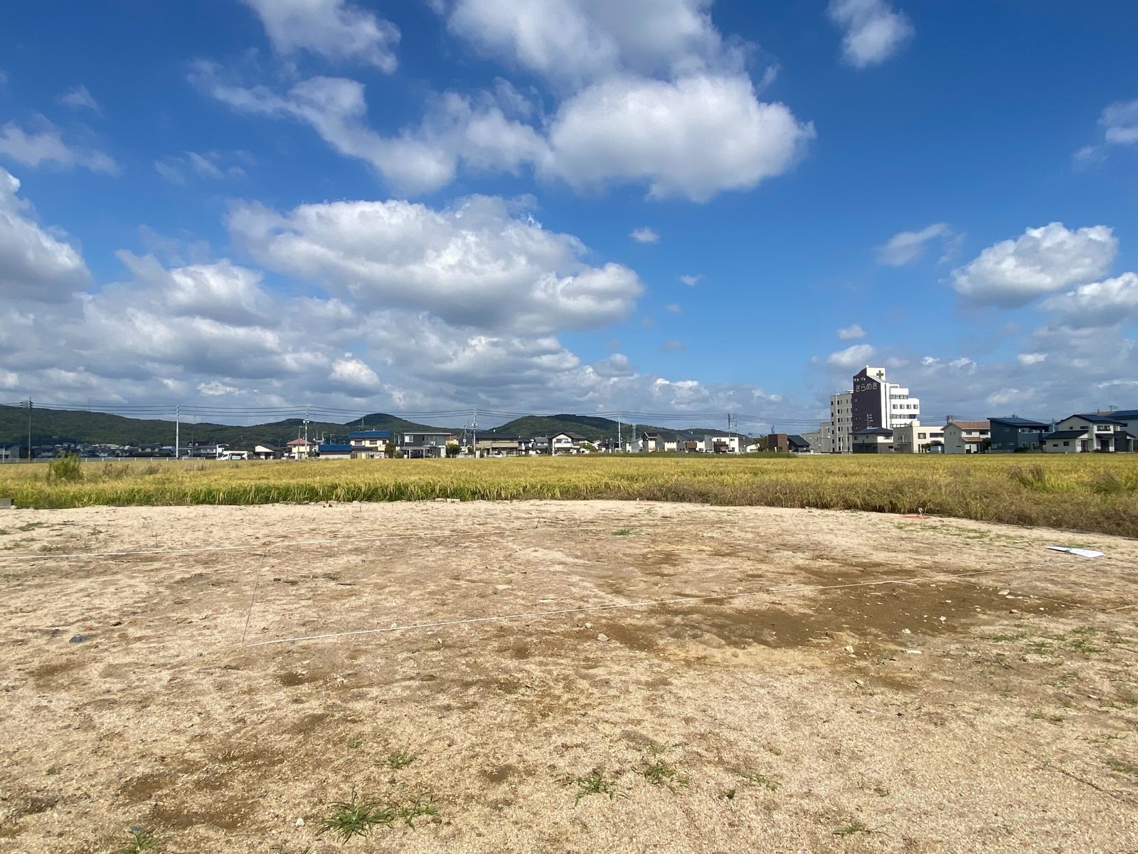 地縄張り